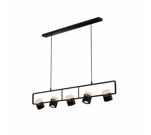 Подвесной светильник LIGHTERA Rudolf LE114L-5B SMART