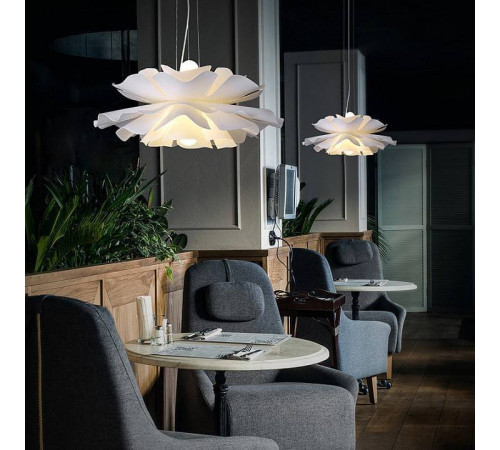 Подвесной светильник LIGHTERA Chad LE116L-60W