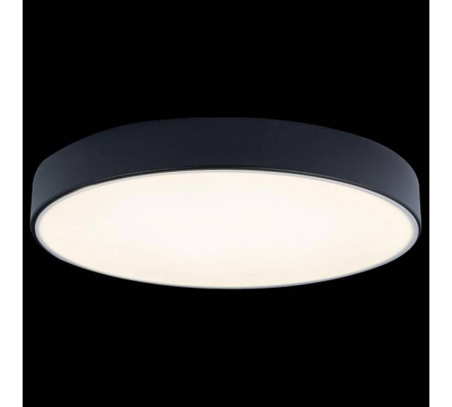 Накладной светильник Loft it Axel 1 10002/24 Black