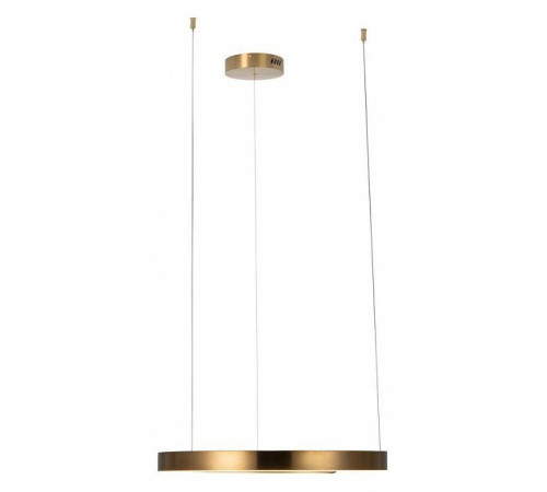 Подвесной светильник Loft it Ring 10013M
