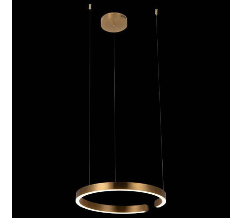 Подвесной светильник Loft it Ring 10013M