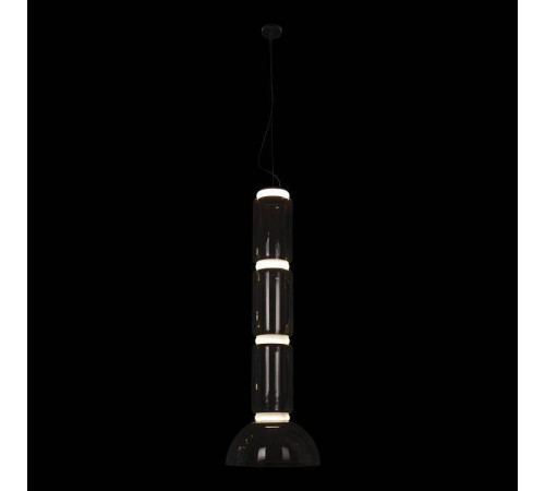 Подвесной светильник Loft It Noctambule 10192/L