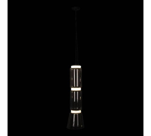 Подвесной светильник Loft it Noctambule 10193/M