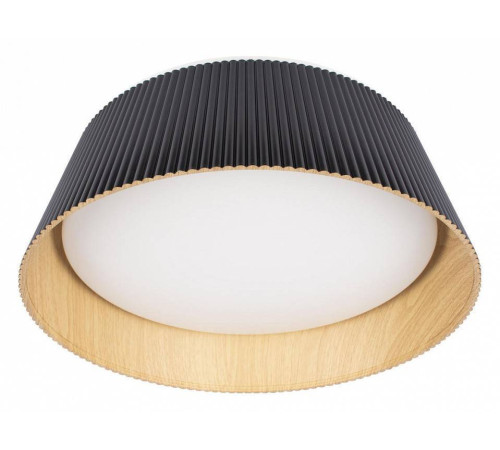 Накладной светильник Loft it Evans 10224 Black