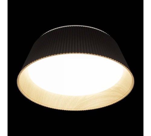 Накладной светильник Loft it Evans 10224 Black