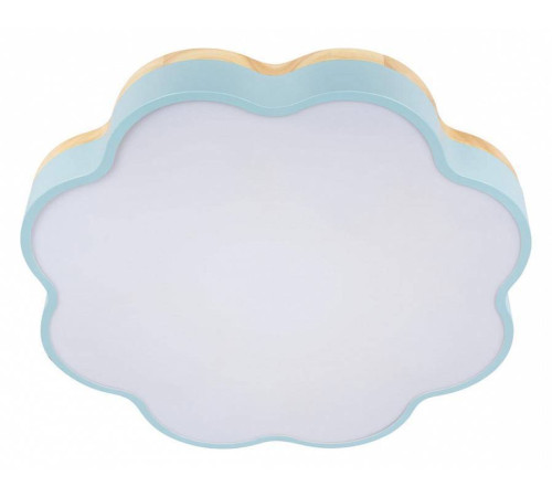 Накладной светильник Loft it Axel 10225/36 Blue