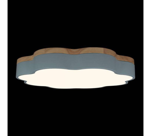 Накладной светильник Loft it Axel 10225/36 Blue