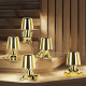 Настольная лампа декоративная Loft It Brothers золотая 10233/E Gold