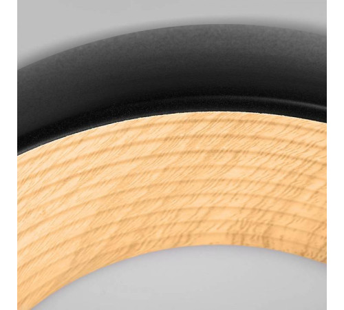 Накладной светильник Loft it Folk 10255/350 Black