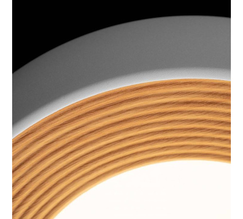 Накладной светильник Loft it Folk 10255/350 White