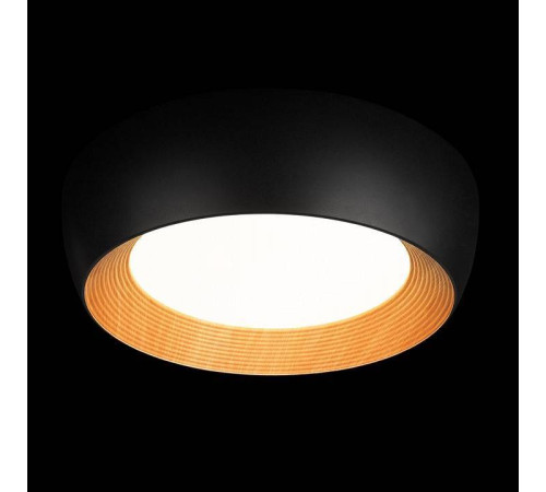 Накладной светильник Loft it Folk 10255/500 Black