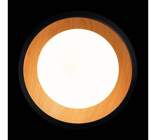 Накладной светильник Loft it Folk 10255/500 Black