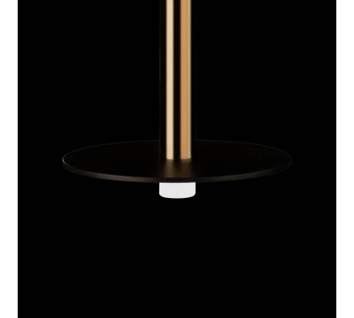 Подвесной светильник Loft it Reed 10358/830 Disk AB