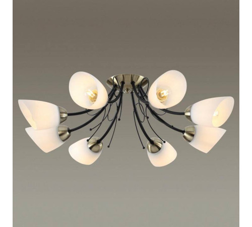 Потолочная люстра Lumion Eliana 4592/8C