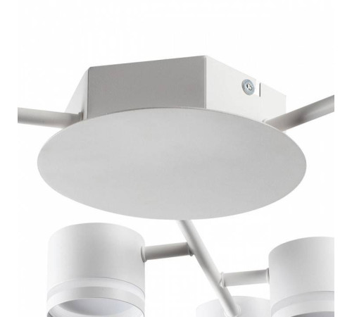 Потолочная люстра Lumion Gareta 8235/9C