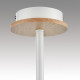 Люстра на штанге Lumion IRMA 8246/5C