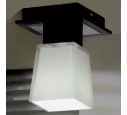 Накладной светильник Lussole Lente LSC-2507-01