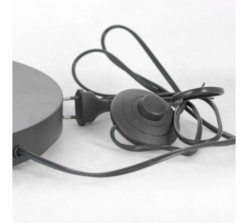 Торшер Lussole LSP-0590