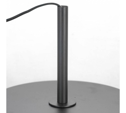 Торшер Lussole LSP-0590