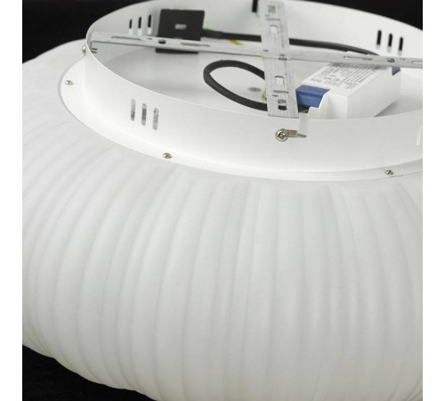 Накладной светильник Lussole Claudia LSP-0921