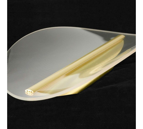 Накладной светильник Lussole Lampasas LSP-7422