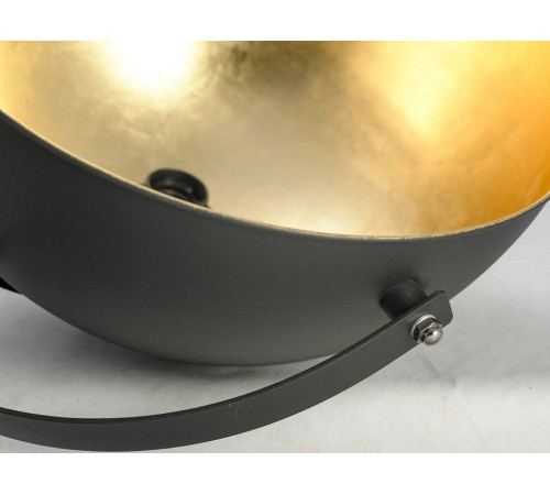 Торшер Lussole Sherrelwood LSP-9824