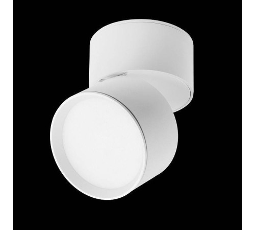 Накладной светильник Lightstar Acuto 215836