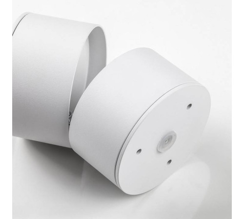 Накладной светильник Lightstar Acuto 215836