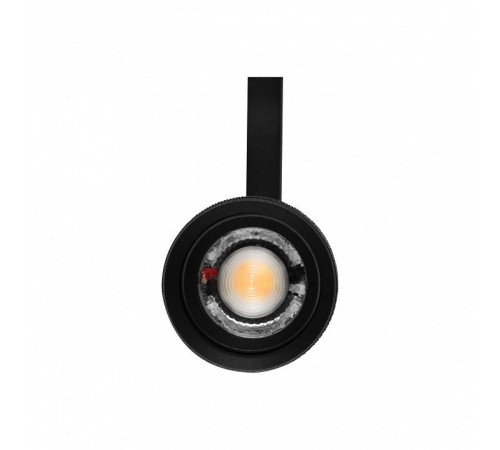 Светильник на штанге Lightstar Canno Pro 304127