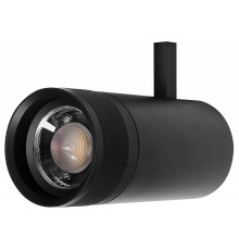 Светильник на штанге Lightstar Canno Pro 304307