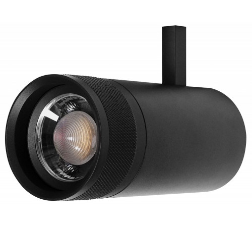 Светильник на штанге Lightstar Canno Pro 304307