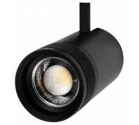 Светильник на штанге Lightstar Canno Pro 304407