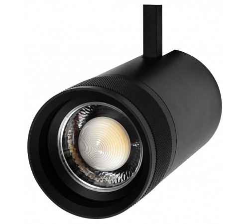 Светильник на штанге Lightstar Canno Pro 304407