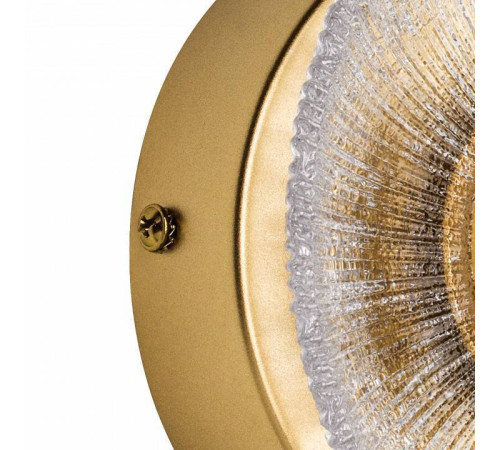 Накладной светильник Lightstar Erica 609602