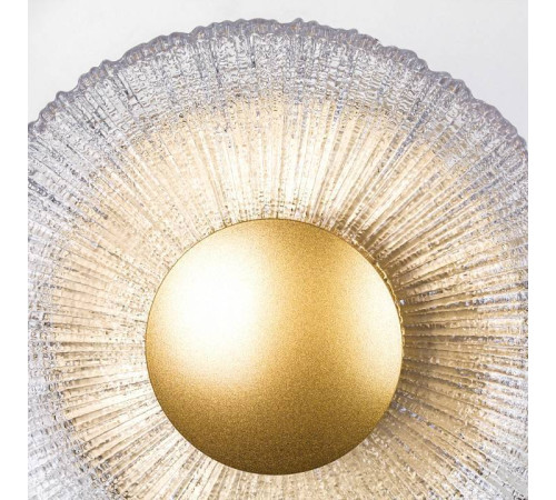 Накладной светильник Lightstar Erica 609602