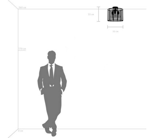 Светильник на штанге Lightstar Genni 798237