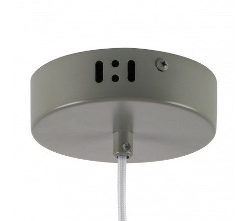 Подвесной светильник Lightstar Erbareo 799019