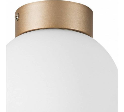 Накладной светильник Lightstar Globo 812013