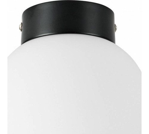 Накладной светильник Lightstar Globo 812017