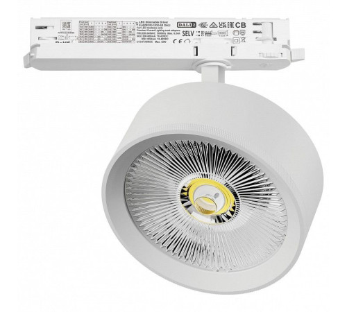 Светильник на штанге Lightstar Alta Pro A5736DALI