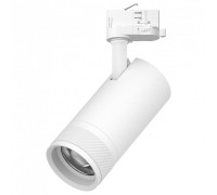 Светильник на штанге Lightstar Canno Pro C4306QT