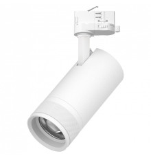 Светильник на штанге Lightstar Canno Pro C4306QT