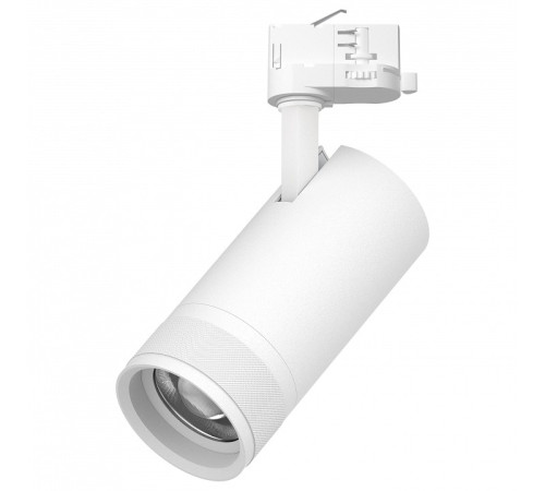 Светильник на штанге Lightstar Canno Pro C4306QT
