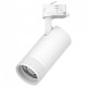 Светильник на штанге Lightstar Canno Pro C4306QT