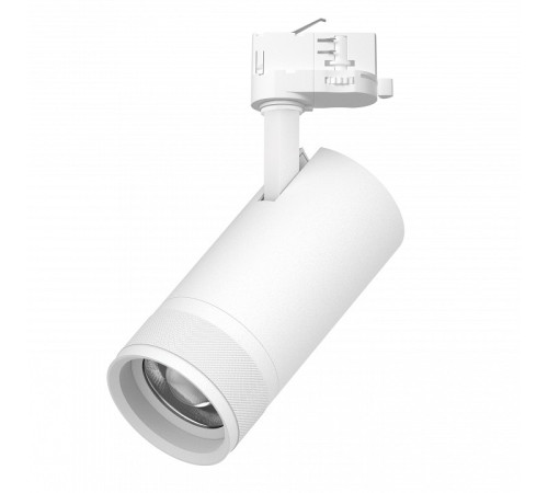 Светильник на штанге Lightstar Canno Pro C4306QT
