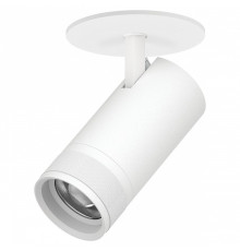 Спот Lightstar Canno Pro C4306RS