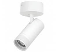 Спот Lightstar Canno Pro C4306SO