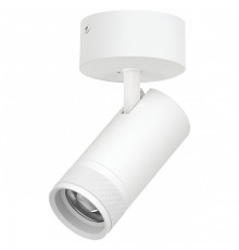 Спот Lightstar Canno Pro C4306SO