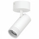 Спот Lightstar Canno Pro C4306SO