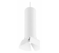 Подвесной светильник Lightstar Rullo RP496436